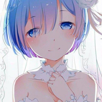 救助猫因主人猝逝躲床单